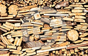 Boards and chocks of different species of wood stacked in rows.