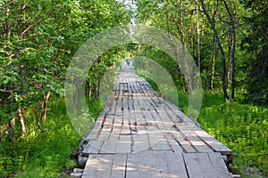 Boards laid over the marsh for passage