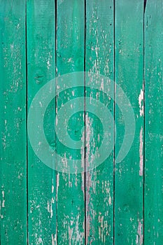 Boards of an old wooden fence covered with green paint.