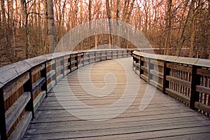 Boardwalk