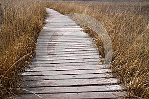 Boardwalk