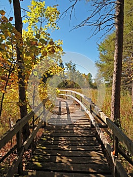 Boardwalk