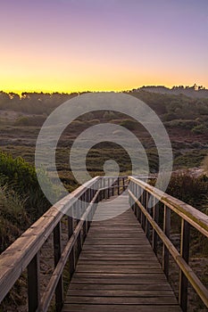 Boardwalk across the dunes at dawn