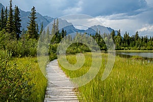 A boardwalk along a hiking trail in Bow Valley Provincial Park, Alberta