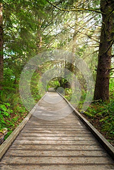 Boardwalk along Hiking Trail at Fort Clatsop