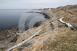 Boardwalk along shore at Grates Cove, Avalon Pen