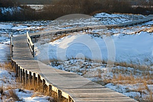 Boardwalk amid dunes