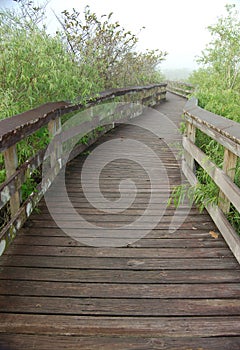 Boardwalk in Anhinga Trail