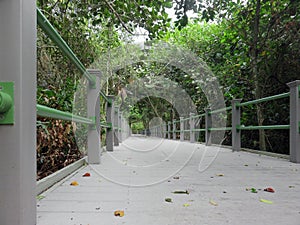 Boardwalk in Bailey Homestead Preserve in Sanibel Florida