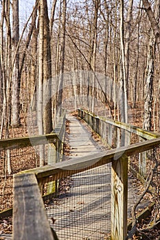 Boardwalk Through Bare Forest at Lindenwood Preserve