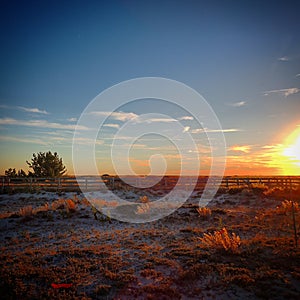 Boardwalk at the beach