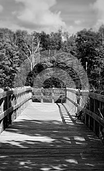 Boardwalk in Cleveland Metroparks in Ohio