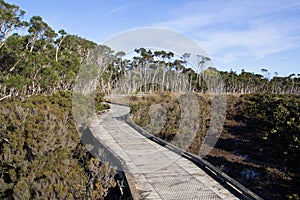 Boardwalk conservation