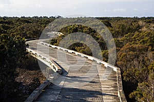 Boardwalk for conservation