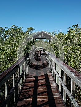 Boardwalk With Covered Shelter in Florida Coastal Wetland