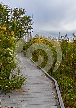 Boardwalk on the Delaware Bay in Bombay Hook