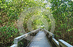 Boardwalk at Ding Darling Nature Preserve