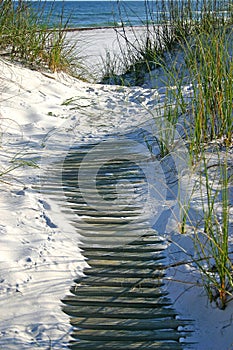 Boardwalk Through the Dune