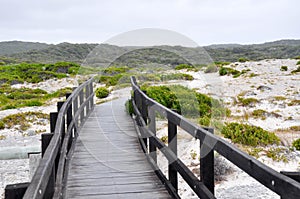 Boardwalk in the Dunes