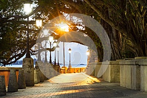 Boardwalk at dusk