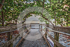 Boardwalk entering North Gulf Shore Beach in Naples Florida at Sunrise photo