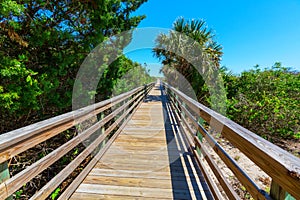 Boardwalk in Everglades