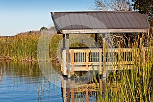 Boardwalk on Florida Lake