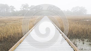 A Boardwalk through the Fog