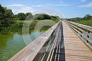 Boardwalk Green Cay Wetlands