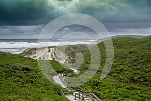 Boardwalk through green vegetation at Conspicuous Cliff during stormy weather in Western Australia..