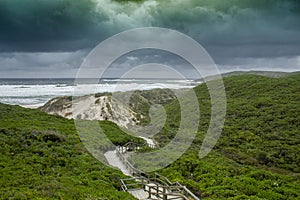 Boardwalk through green vegetation at Conspicuous Cliff during stormy weather in Western Australia..
