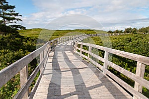 Boardwalk photo