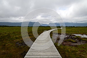 Boardwalk in Gros Morne National Park photo