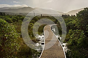 Boardwalk on Irish peatland