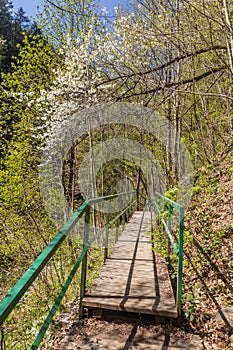 Boardwalk in Jizera river valley near Semily, part of Riegrova stezka path, Czech