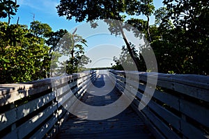 Boardwalk by the lake