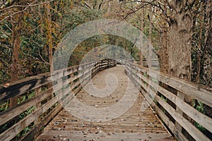 Boardwalk at Lake Lotus Park in Altamonte Springs, Florida