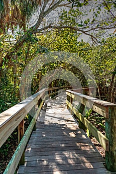 Boardwalk leading to Sarasota Bay photo