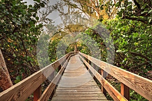 Boardwalk leading toward Delnor-Wiggins State Park at sunset photo