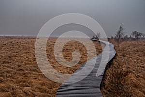 A boardwalk leads through the moor landscape of the nature reserve `High Fens` in Belgium