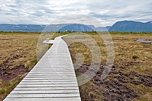 Boardwalk