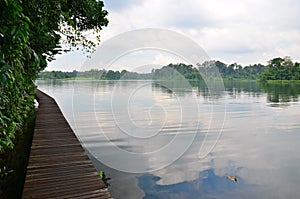 Boardwalk Lower Peirce Reservoir Singapore