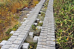 Boardwalk Made From Timber Planks