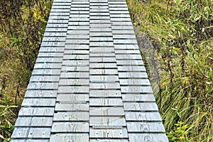 Boardwalk Made From Timber Planks