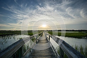 Boardwalk and marsh