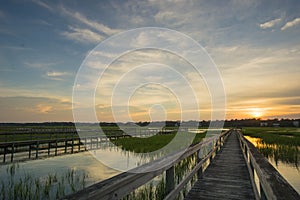 Boardwalk and marsh