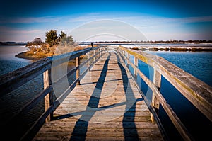 Boardwalk through marshes at Assateague Island National Seashore, MD