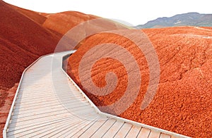 Boardwalk through mounds of red earth