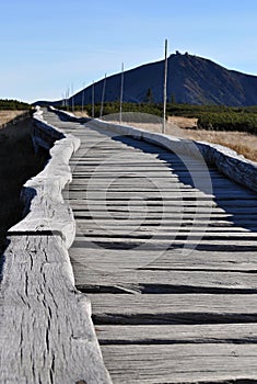 Boardwalk in the mountains