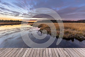 Boardwalk in natural heathland fen